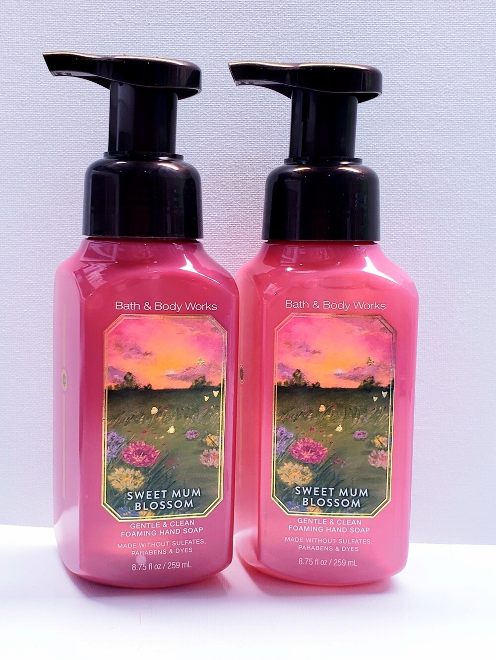 Bath & Body Works COCKTAIL HOUR Gentle & Clean Foaming Hand Soap, 8.75  Oz (2 )